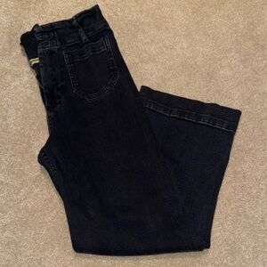 PILCRO ANTHRO Black Denim Jeans 26